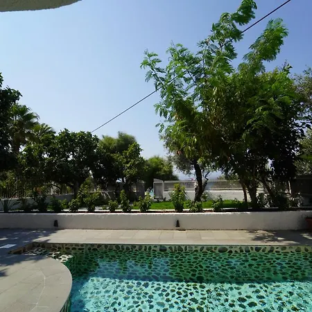 Icon Sovalye Island 페티예